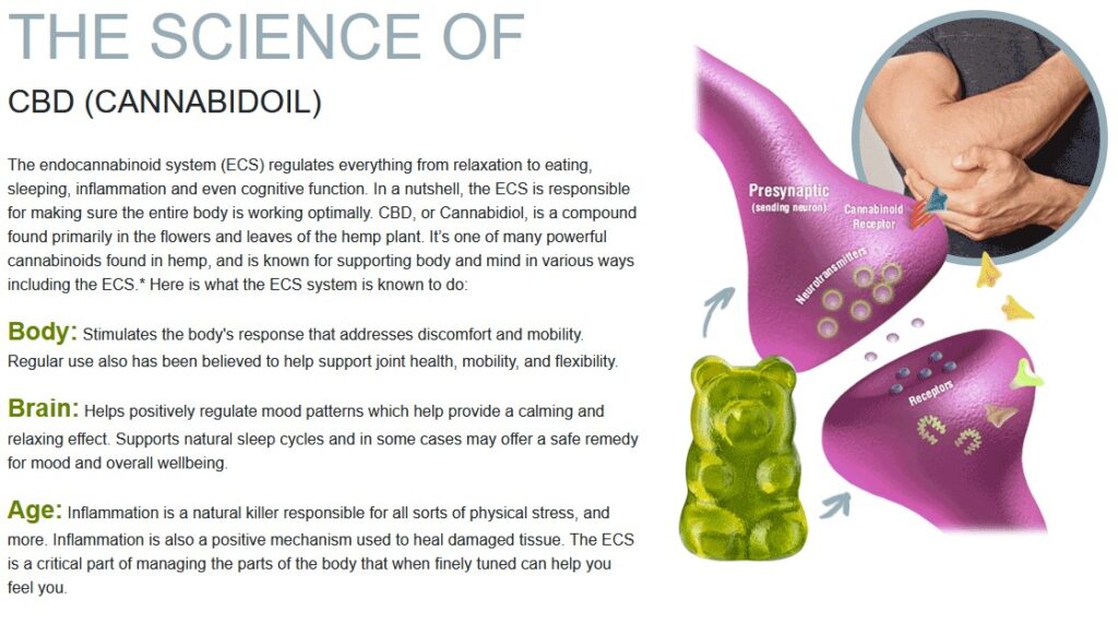 Can CBD Gummies help with Quitting Smoking